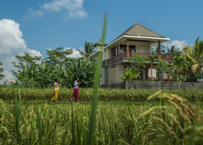 A Lotsa Private Ubud (Bali)